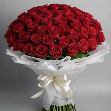 Букет 101 Красная роза Блэк Мэджик в Инарках