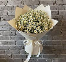Букет цветов из:  Ромашки #REPLACE_PRED# Инарках