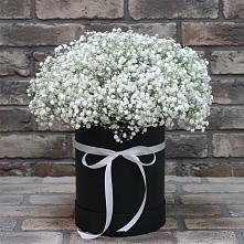 Цветочная композиция из Гипсофила в шляпной коробке в Инарках